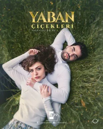 Дикие цветы / Yaban Çiçekleri (2024) cериал смотреть онлайн Дикие цветы / Yaban Çiçekleri (2024) cериал смотреть онлайн в хорошем качестве