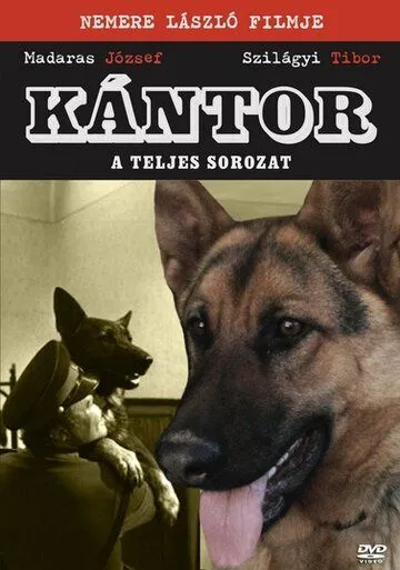 Кантор / Kántor (1976) cериал смотреть онлайн Кантор / Kántor (1976) cериал смотреть онлайн в хорошем качестве