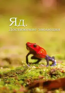 Яд. Достижение эволюции / Poison, An Evolutionary Mystery (2015) cериал смотреть онлайн Яд. Достижение эволюции / Poison, An Evolutionary Mystery (2015) cериал смотреть онлайн в хорошем качестве