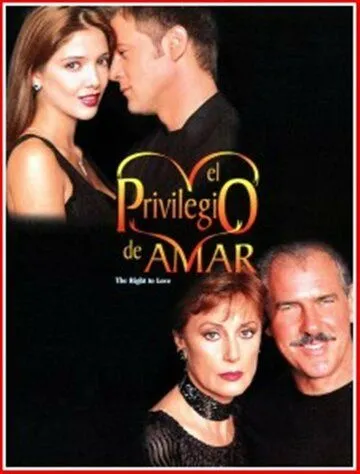 Привилегия любить / El privilegio de amar (1998) cериал смотреть онлайн Привилегия любить / El privilegio de amar (1998) cериал смотреть онлайн в хорошем качестве