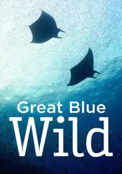 Great Blue Wild (2015) cериал смотреть онлайн в хорошем качестве