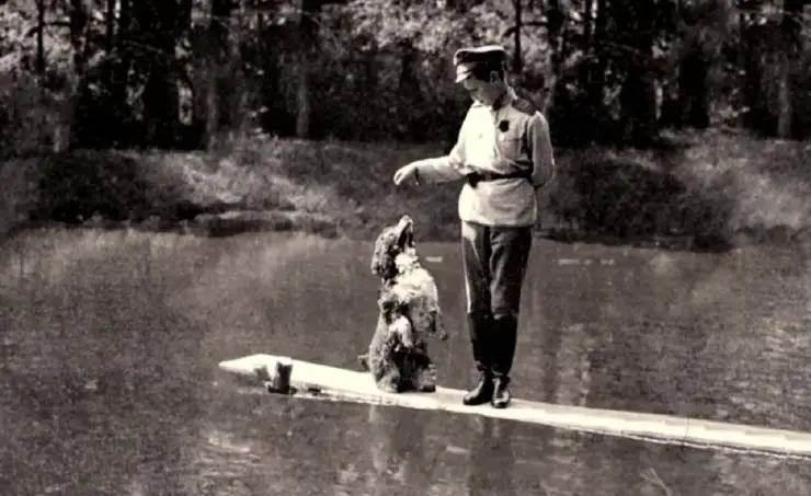 Цареубийство. Следствие длиною в век (2019) в хорошем качестве смотреть онлайн Цареубийство. Следствие длиною в век (2019) сериал в хорошем качестве смотреть онлайн