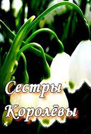 Сестры Королевы (2010) cериал смотреть онлайн Сестры Королевы (2010) cериал смотреть онлайн в хорошем качестве