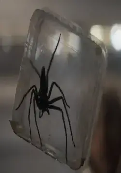 Паутина страха (2023) смотреть онлайн бесплатно Паутина страха (2023) фильм смотреть онлайн бесплатно