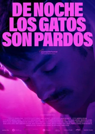 De noche los gatos son pardos (2022) фильм смотреть онлайн в хорошем качестве