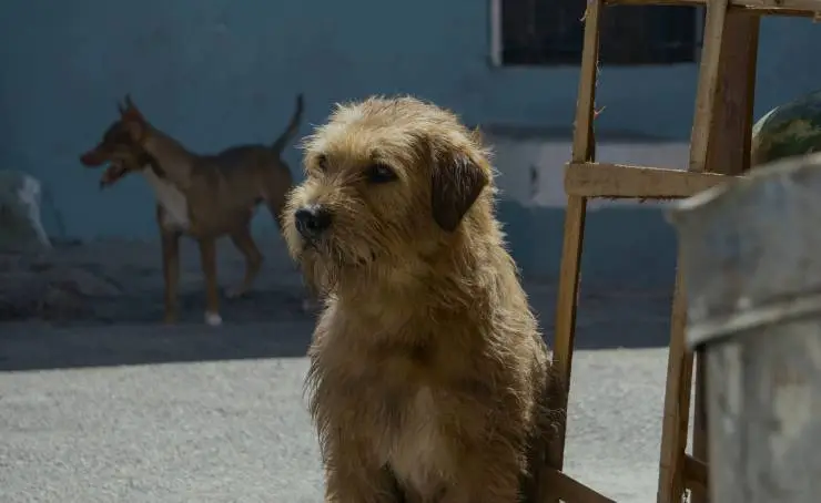 Артур, ты король (2024) смотреть онлайн бесплатно Артур, ты король (2024) фильм смотреть онлайн бесплатно