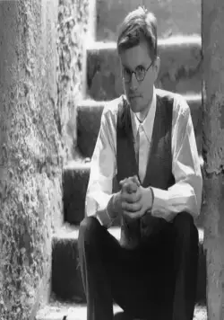 Генри Фул (1997) смотреть онлайн Генри Фул (1997) фильм смотреть онлайн