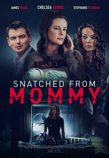 Snatched from Mommy (2021) фильм смотреть онлайн Snatched from Mommy (2021) фильм смотреть онлайн в хорошем качестве