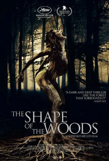 Форма леса / La Forma del Bosque (2021) фильм смотреть онлайн Форма леса / La Forma del Bosque (2021) фильм смотреть онлайн в хорошем качестве