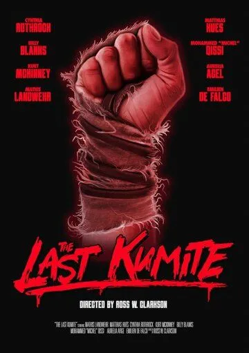 На расстоянии удара / The Last Kumite (2024) фильм смотреть онлайн в хорошем качестве