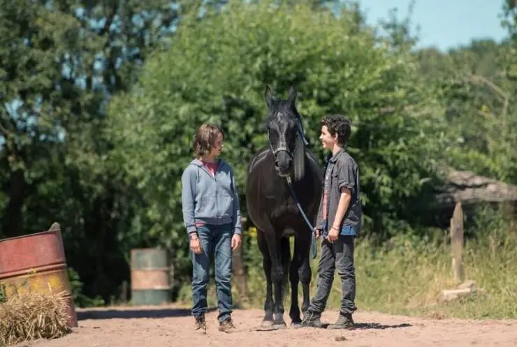 Восточный ветер. Великий ураган (2021) смотреть онлайн Восточный ветер. Великий ураган (2021) фильм смотреть онлайн