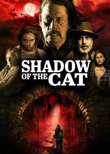 La Sombra Del Gato (2021) фильм смотреть онлайн в хорошем качестве