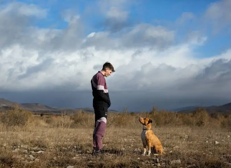 Цепной пёс (2023) смотреть онлайн Цепной пёс (2023) фильм смотреть онлайн