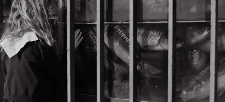 Бебиа, по моему единственному желанию (2021) смотреть онлайн бесплатно Бебиа, по моему единственному желанию (2021) фильм смотреть онлайн бесплатно