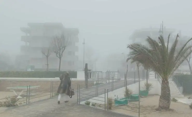 Римини (2022) смотреть онлайн бесплатно Римини (2022) фильм смотреть онлайн бесплатно