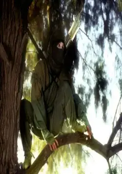 Ниндзя III: Господство (1984) смотреть онлайн Ниндзя III: Господство (1984) фильм смотреть онлайн