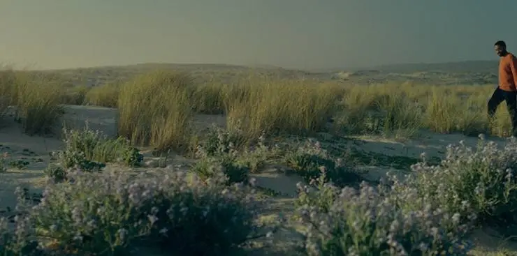 Капсульное поколение (2023) в хорошем качестве смотреть онлайн Капсульное поколение (2023) фильм в хорошем качестве смотреть онлайн