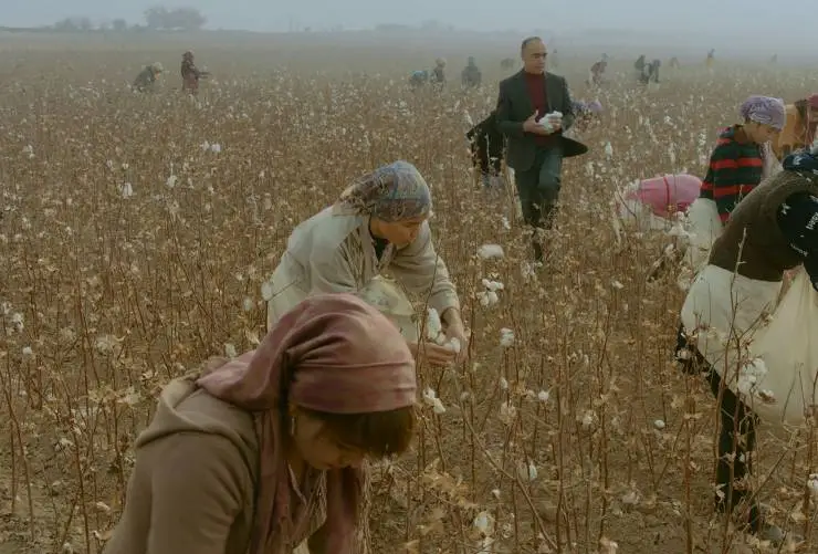 Продукты 24 (2022) в хорошем качестве смотреть онлайн Продукты 24 (2022) фильм в хорошем качестве смотреть онлайн