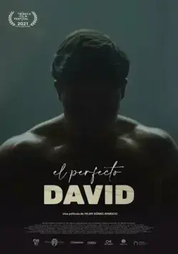 El perfecto David (2021) фильм смотреть онлайн El perfecto David (2021) фильм смотреть онлайн в хорошем качестве