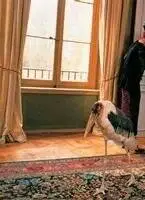 Истина в вине (1999) смотреть онлайн Истина в вине (1999) фильм смотреть онлайн