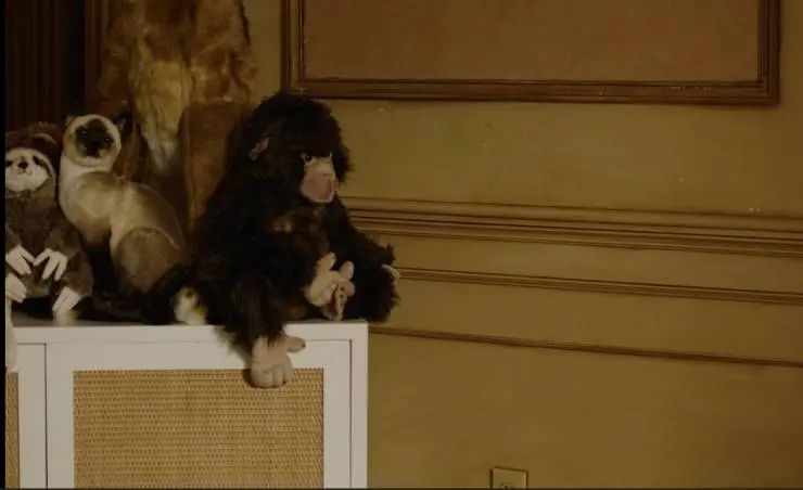 Шимпанзе под прикрытием (2021) в хорошем качестве смотреть онлайн Шимпанзе под прикрытием (2021) фильм в хорошем качестве смотреть онлайн