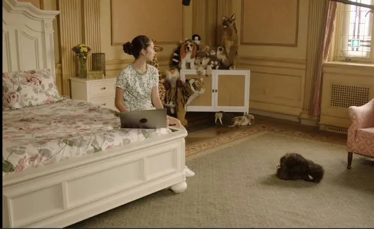 Шимпанзе под прикрытием (2021) смотреть онлайн бесплатно Шимпанзе под прикрытием (2021) фильм смотреть онлайн бесплатно