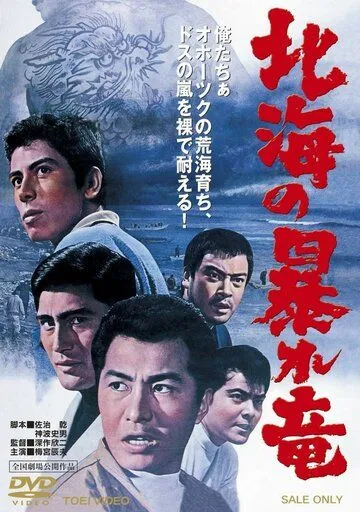 Дракон, буйствующий в Северном море / Hokkai no Abare-Ryu (1966) фильм смотреть онлайн Дракон, буйствующий в Северном море / Hokkai no Abare-Ryu (1966) фильм смотреть онлайн в хорошем качестве