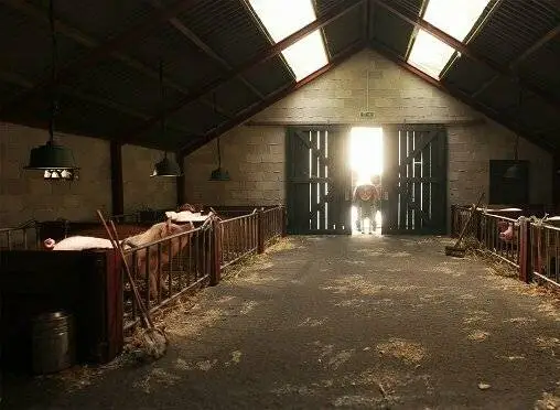 Хрюк (2022) в хорошем качестве смотреть онлайн Хрюк (2022) мультфильм в хорошем качестве смотреть онлайн