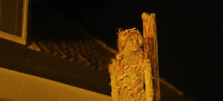 Молох (2022) смотреть онлайн Молох (2022) фильм смотреть онлайн