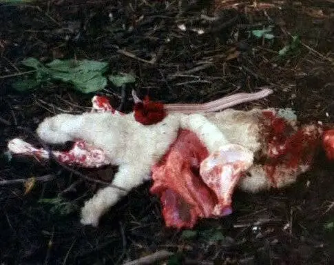 Зверь (1975) смотреть онлайн Зверь (1975) фильм смотреть онлайн