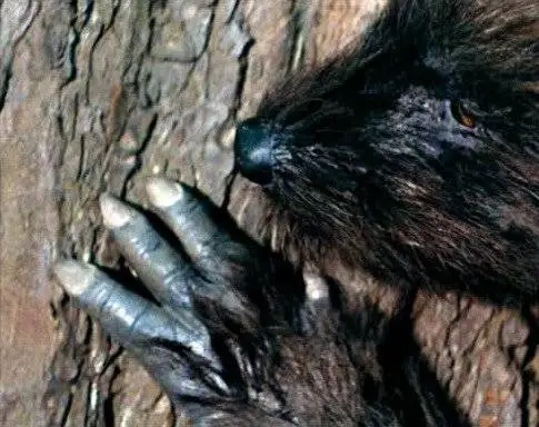 Зверь (1975) смотреть онлайн бесплатно Зверь (1975) фильм смотреть онлайн бесплатно