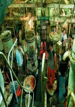 Корабль в Пусан (2022) в хорошем качестве смотреть онлайн Корабль в Пусан (2022) фильм в хорошем качестве смотреть онлайн