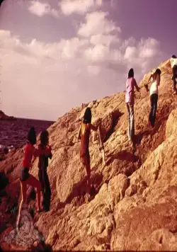 Бутон розы (1975) смотреть онлайн Бутон розы (1975) фильм смотреть онлайн