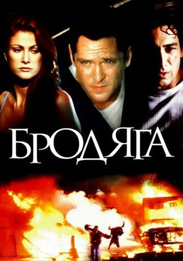 Бродяга / The Stray (2000) фильм смотреть онлайн Бродяга / The Stray (2000) фильм смотреть онлайн в хорошем качестве