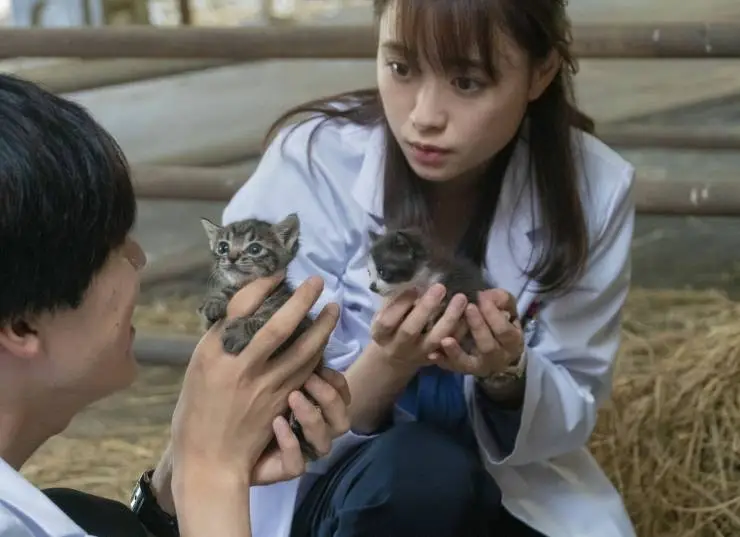 Клуб собак! (2021) смотреть онлайн бесплатно Клуб собак! (2021) фильм смотреть онлайн бесплатно