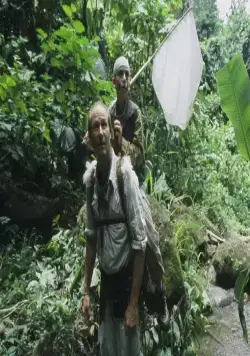 Голубая бабочка (2004) смотреть онлайн Голубая бабочка (2004) фильм смотреть онлайн