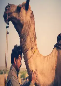 Песнь скорпионов (2017) смотреть онлайн Песнь скорпионов (2017) фильм смотреть онлайн