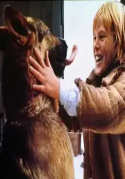 Возвращение Белого Клыка (1974) смотреть онлайн Возвращение Белого Клыка (1974) фильм смотреть онлайн