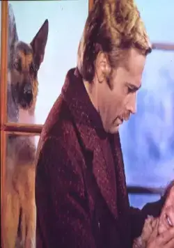 Возвращение Белого Клыка (1974) смотреть онлайн бесплатно Возвращение Белого Клыка (1974) фильм смотреть онлайн бесплатно