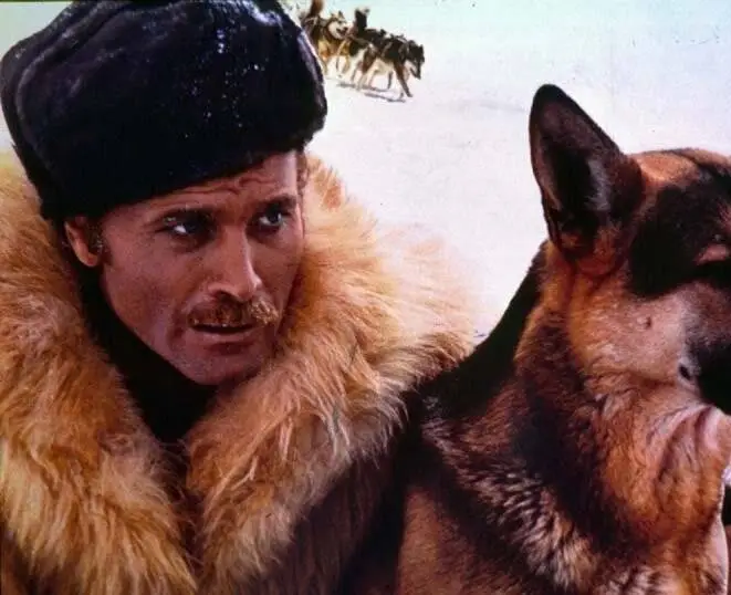 Возвращение Белого Клыка (1974) в хорошем качестве смотреть онлайн Возвращение Белого Клыка (1974) фильм в хорошем качестве смотреть онлайн