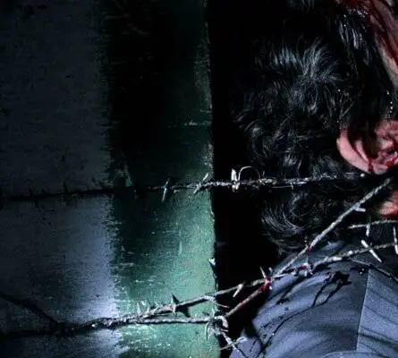 Дама в красном (2008) смотреть онлайн Дама в красном (2008) фильм смотреть онлайн