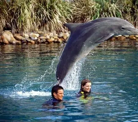 Кольцо бесконечного света (2002) смотреть онлайн Кольцо бесконечного света (2002) фильм смотреть онлайн