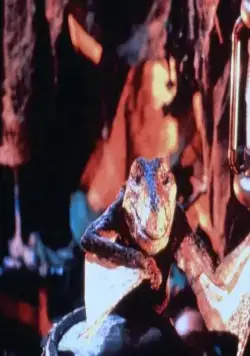 Приключения в городе динозавров (1991) смотреть онлайн бесплатно Приключения в городе динозавров (1991) фильм смотреть онлайн бесплатно