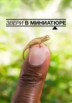 Звери в миниатюре / Super Small Animals (2017) фильм смотреть онлайн в хорошем качестве