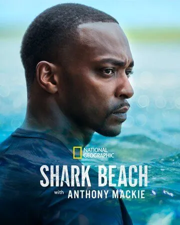 Акулий пляж с Энтони Маки / Shark Beach with Anthony Mackie (2024) фильм смотреть онлайн в хорошем качестве