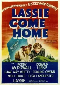Лесси возвращается домой / Lassie Come Home (1943) фильм смотреть онлайн Лесси возвращается домой / Lassie Come Home (1943) фильм смотреть онлайн в хорошем качестве