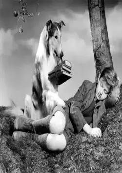 Лесси возвращается домой (1943) смотреть онлайн бесплатно Лесси возвращается домой (1943) фильм смотреть онлайн бесплатно