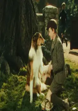 Лесси возвращается домой (1943) смотреть онлайн Лесси возвращается домой (1943) фильм смотреть онлайн