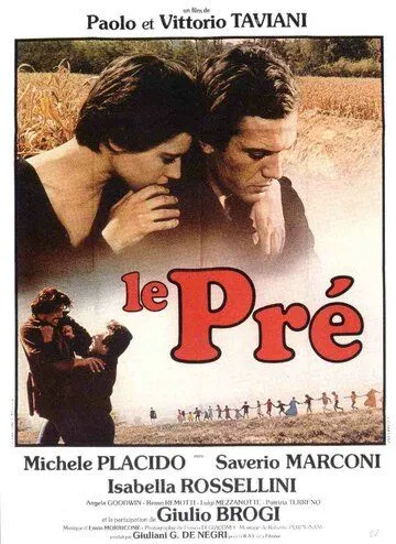 Поляна / Il prato (1979) фильм смотреть онлайн Поляна / Il prato (1979) фильм смотреть онлайн в хорошем качестве