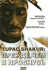 Tupac Shakur: Прежде, чем я проснусь / Tupac Shakur: Before I Wake... (2001) фильм смотреть онлайн в хорошем качестве
